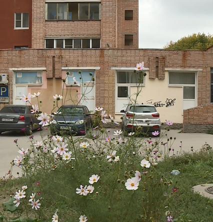 спасские огурцы из рязанской области. Смотреть фото спасские огурцы из рязанской области. Смотреть картинку спасские огурцы из рязанской области. Картинка про спасские огурцы из рязанской области. Фото спасские огурцы из рязанской области