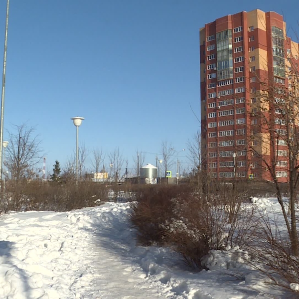 В Рязани нескольких сотрудников Дирекции благоустройства уволили за некачественную уборку снега