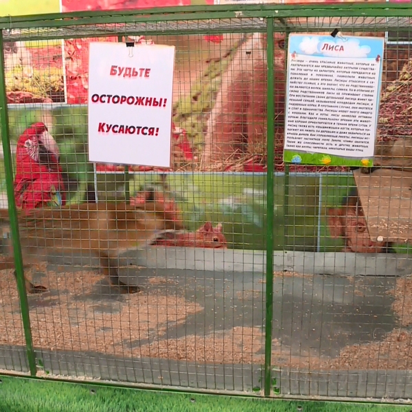 Контактные зоопарки «обходят» закон об их запрете