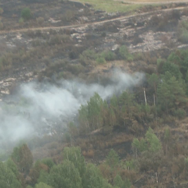Рядом с регионом - в Мордовии горят леса. Рязанские спасатели оценили ситуацию с воздуха