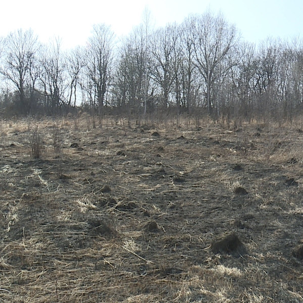 Более 200 палов сухой травы ликвидировали пожарные за прошедшие 2 недели в Рязанской области