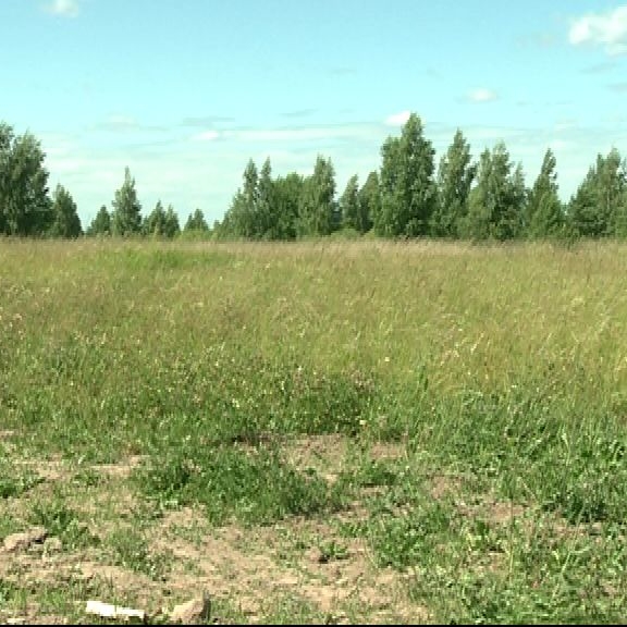 Почему в Рязанской области нет желающих стать хозяином бесхозной земли?