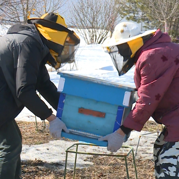 Пчеловоды готовят пасеку и оборудование к началу сезона