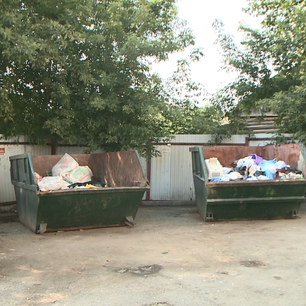 Игра в одну корзину: почему в Рязани не могут полностью перейти на раздельный сбор мусора