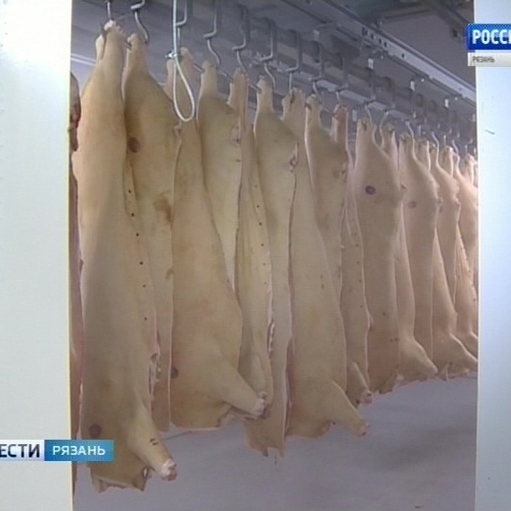 В Рязанскую область запрещен ввоз свинины из 7 регионов России