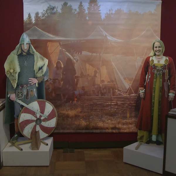 О жизни викингов рязанцы могут узнать во Дворце Олега
