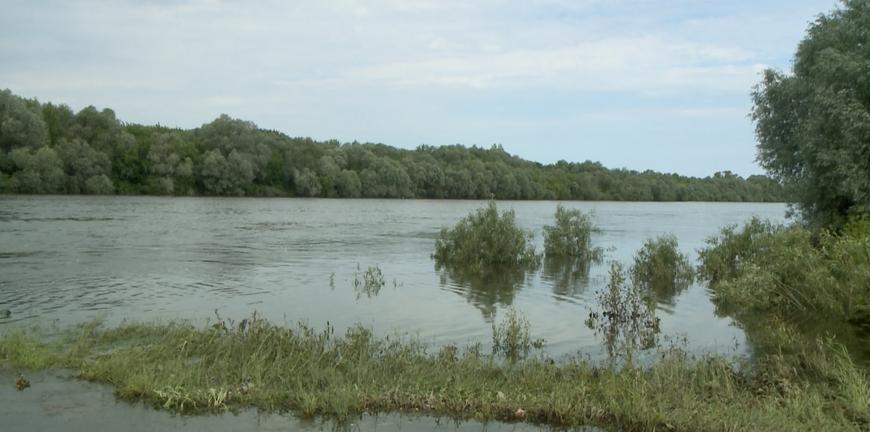 Вода в оке сегодня. Уровень воды Ока Алексин. Уровень воды на Оке в Алексине.. Уровень воды в реке Ока в Рязанской области. Подъем воды в р. Ока.