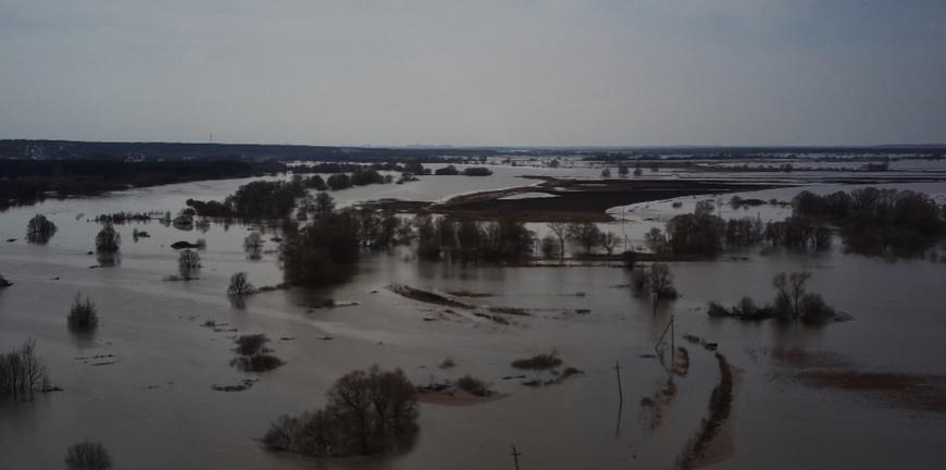 Какая вода в оке