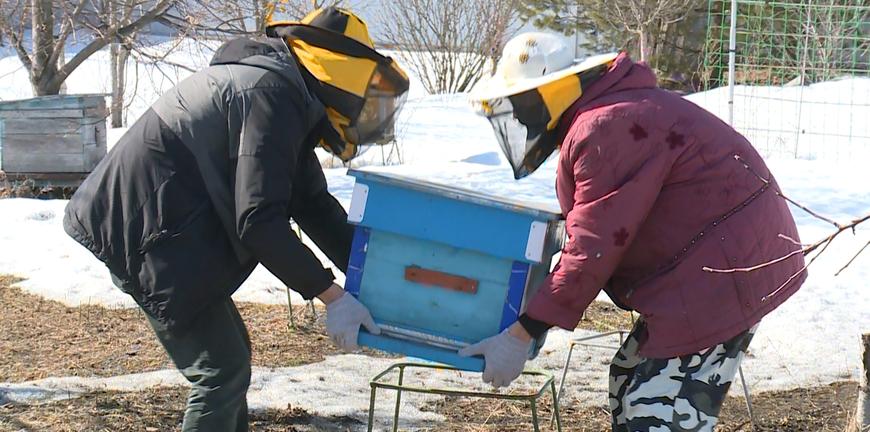 Оборудование для пчеловода