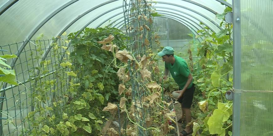 Павел Штейнберг: Как вырастить отличный урожай овощей и бахчевых. Рецепты, проверенные временем