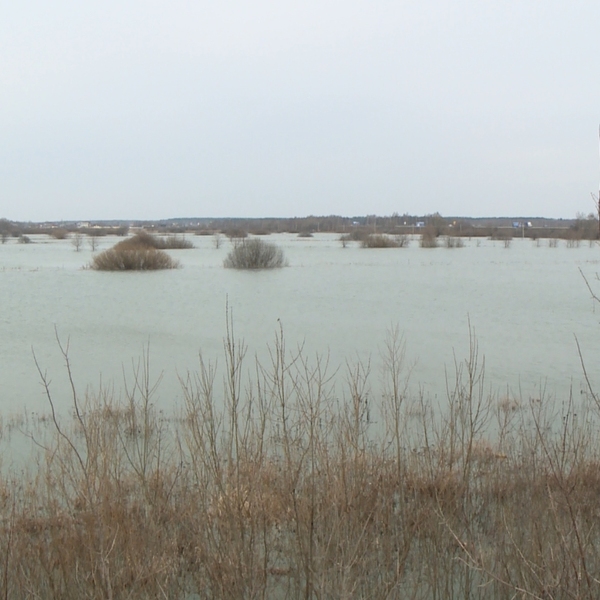 Почему поднимается уровень воды в оке