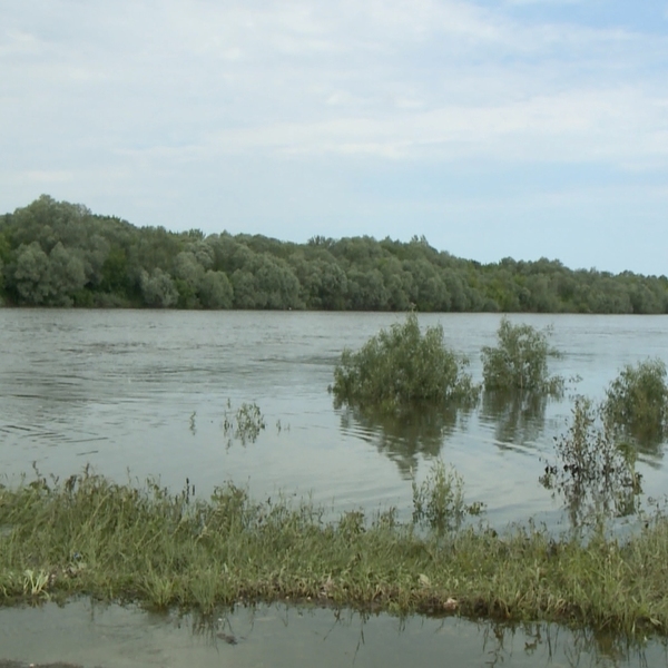 Понижение уровня воды в оке