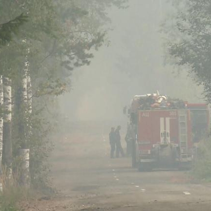 В Рязанской области возбудили дело по статье о халатности после лесных пожаров