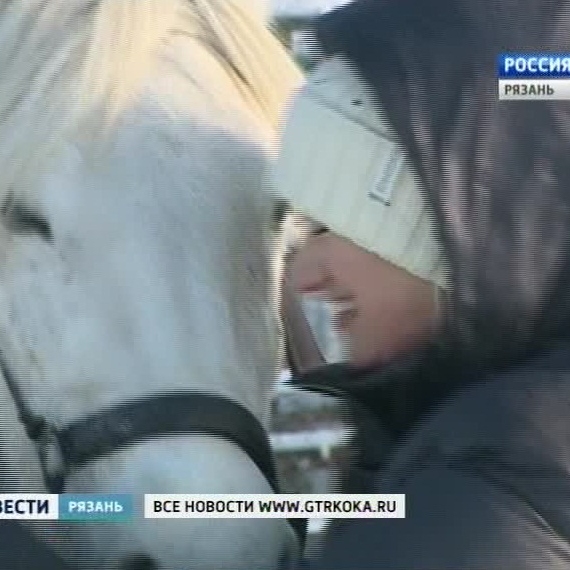 Пензенская бойня лошадей