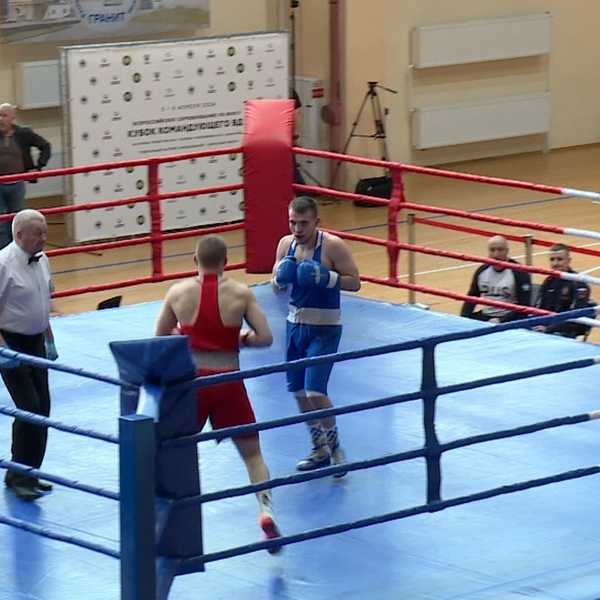 В Академии единоборств дали старт Всероссийским соревнованиям по боксу