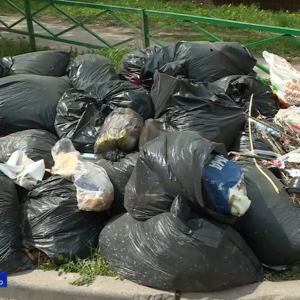 Уборка насмарку: после субботников мешки с мусором так и стоят на ...
