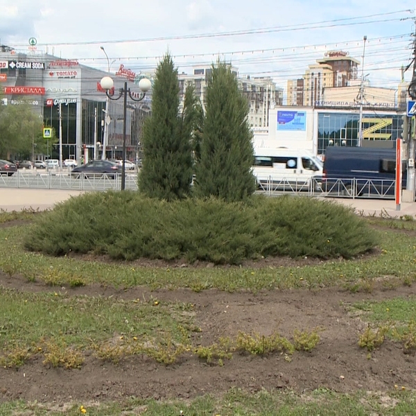 На городских клумбах в Рязани вновь приступили к высадке цветов