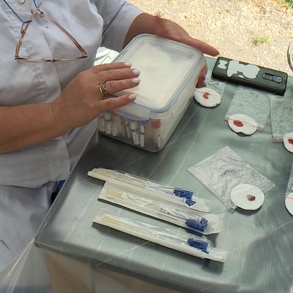 В Рязанском доме белого аиста орнитологи берут анализ крови у птенцов