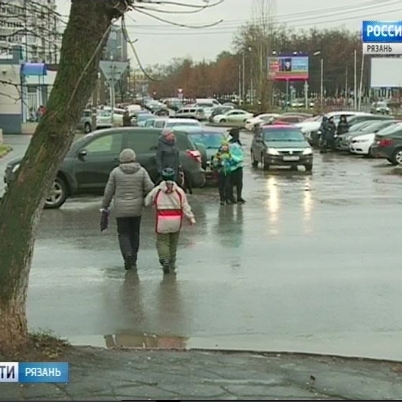 Пешим рязань. Рязань пешеходный переход у цирка. Пешеходка Рязанские полицейские. Рязань не спит.