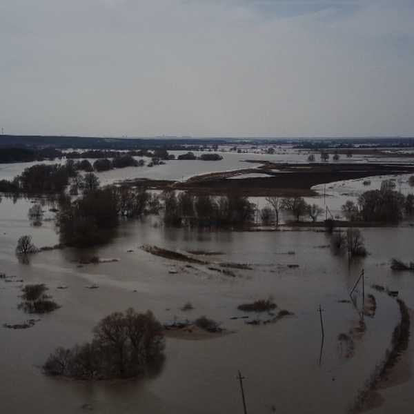 Уровень воды ока новинки