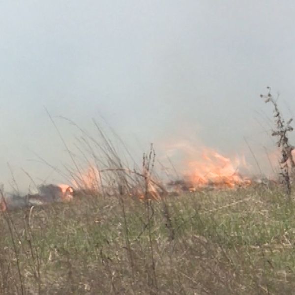 В Рязанской области открыт пожароопасный сезон