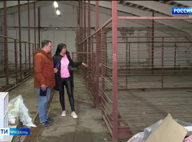 Городская служба по контролю за безнадзорными животными