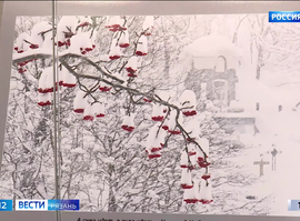 Выставки_музей путешественников