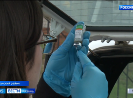 Вакцинация домашних животных