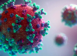 Актуальная тема - COVID-19