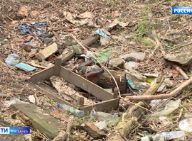 Свалка_ул. Костычева