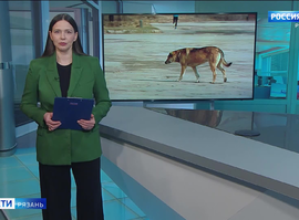 Эфир от 26.03.2025 (09:30)