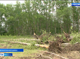 Мелиорация