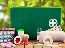 Актуальная тема - Первая помощь на шести сотках