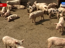 Актуальная тема - АЧС