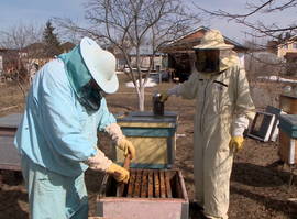 Сезон открыт: рязанские пчеловоды вышли на пасеки