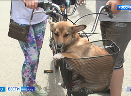 "Пойдем домой"