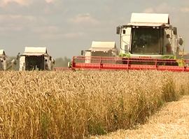 Актуальная тема - Рязанские аграрии возлагают большие надежды на будущий урожай