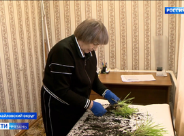 Михайлов_озимые