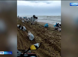 Волонтеры_Краснодарский край