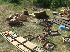 Актуальная тема - Старая Рязань