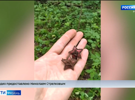 Поисковики