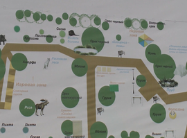 Бархат амурский и сумах оленерогий: в центре Рязани растут уникальные растения