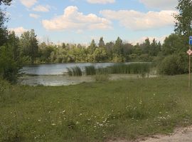 Вышетравино