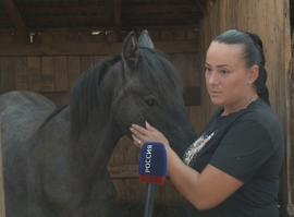 Ферма_Пронск