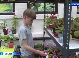 Лето с пользой