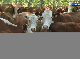 Фермерство