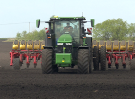 В регионе пересеивают пострадавшие от заморозков культуры