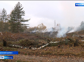 Свалка_Мурмино