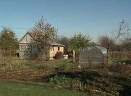 Актуальная тема - У рязанских садоводов сейчас горячая пора