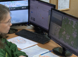 Мониторинг лесов